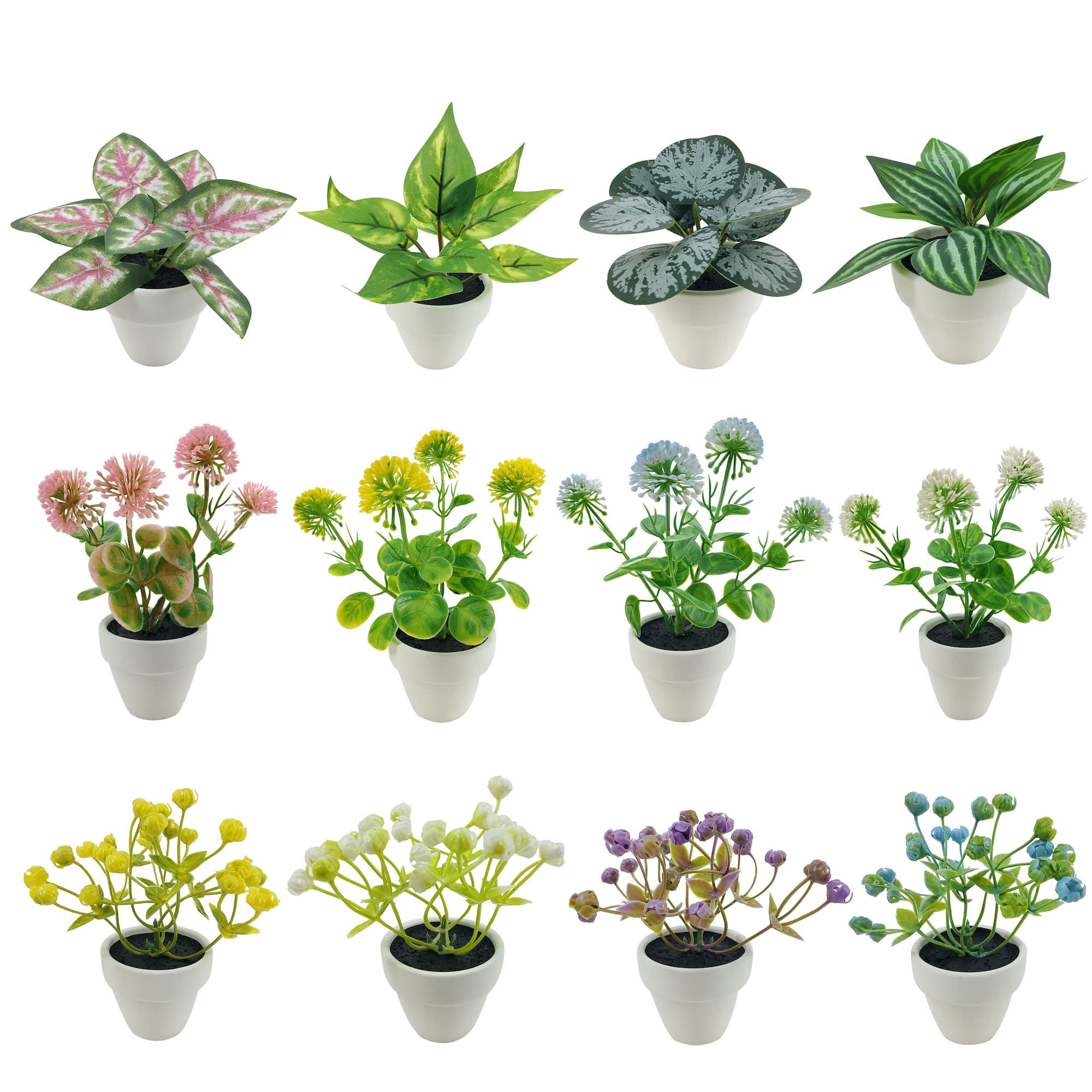 Assorted Micro Plant, 1pc. by Ashland®